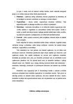 Referāts 'Vadītāja karjeras plānošana', 5.