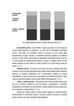 Referāts 'Vadītāja karjeras plānošana', 7.