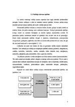 Referāts 'Vadītāja karjeras plānošana', 8.