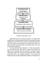Referāts 'Vadītāja karjeras plānošana', 18.