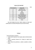 Referāts 'Vadītāja karjeras plānošana', 23.