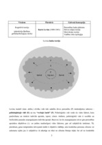 Konspekts 'Pedagoģijas teorijas: kognitīvā, empīrisms un pragmatisms', 2.