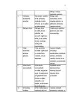 Konspekts 'Riski uzņēmējdarbībā - SIA "Sakarnieks"', 3.