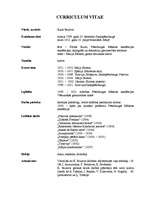 Eseja 'Karla Brulova gleznas "Pompeju pēdējā diena" analīze', 2.