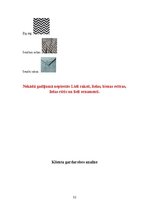 Referāts 'Klienta koptēla veidošana', 32.