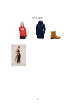 Referāts 'Klienta koptēla veidošana', 46.