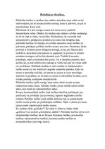 Referāts 'Publiskās tiesības', 2.