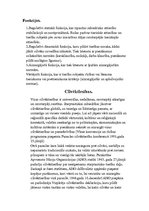 Referāts 'Publiskās tiesības', 3.