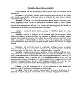 Eseja 'Šokolādes dzīves cikls un stratēģija', 1.