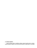 Referāts 'Alus iepakošana', 13.