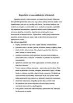 Konspekts 'Jūgendiskā ornamentalizācija Rīgas arhitektūrā un lietišķajā mākslā', 2.