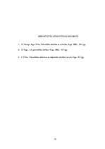 Referāts 'Pašvaldības tiesības līdz 1918.gadam', 15.