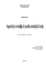 Referāts 'Organizāciju socioloģija kā speciāla socioloģiskā teorija', 1.