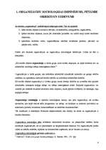 Referāts 'Organizāciju socioloģija kā speciāla socioloģiskā teorija', 4.