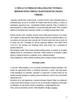 Referāts 'Organizāciju socioloģija kā speciāla socioloģiskā teorija', 6.