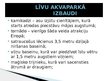 Prezentācija 'Žurnāla "Ilustrētā Junioriem" pielikums', 7.