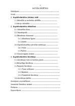 Referāts 'Kapitālsabiedrību dibināšana un likvidācija', 2.