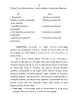 Referāts 'Kapitālsabiedrību dibināšana un likvidācija', 19.