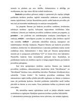 Referāts 'Kapitālsabiedrību dibināšana un likvidācija', 45.