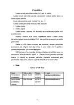 Prakses atskaite 'Prakse Lubānas novada pašvaldībā ', 6.