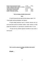 Prakses atskaite 'Prakse Lubānas novada pašvaldībā ', 13.