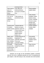 Referāts 'Eiropas zemo cenu aviokompāniju liberalizācija', 17.