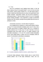 Referāts 'Eiropas zemo cenu aviokompāniju liberalizācija', 45.