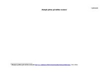 Prakses atskaite 'Jēkabpils pilsētas pašvaldības finanšu analīze un apraksts', 33.