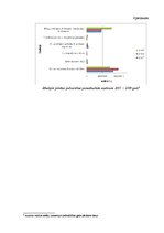Prakses atskaite 'Jēkabpils pilsētas pašvaldības finanšu analīze un apraksts', 39.