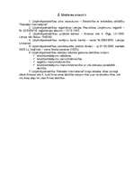 Biznesa plāns 'Biznesa plāns "Rabalder"', 4.