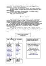 Biznesa plāns 'Biznesa plāns "Rabalder"', 6.