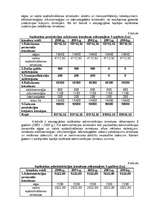 Biznesa plāns 'Biznesa plāns "Rabalder"', 16.