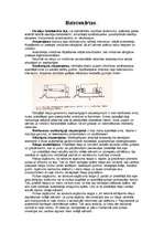 Konspekts 'Automobiļu balstiekārtas', 1.