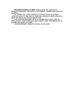 Konspekts 'Automobiļu balstiekārtas', 3.