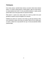 Referāts 'Kruīzu kuģi kā tūrisma sektors, darbības specifika, ievērojamākās kompānijas', 13.