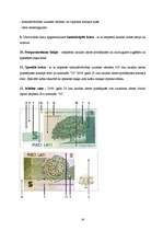 Referāts 'Latvijas lats', 16.