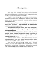 Referāts 'Mārketinga vide', 2.