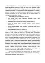 Referāts 'Mārketinga vide', 8.