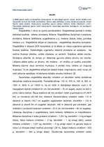 Referāts 'Gada treniņu plāna projekts', 3.