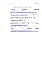 Referāts 'Gada treniņu plāna projekts', 24.