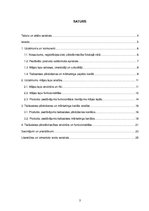 Referāts 'E-komercijas stratēģija', 3.