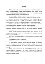 Referāts 'E-komercijas stratēģija', 5.