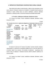 Referāts 'E-komercijas stratēģija', 16.