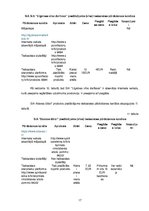 Referāts 'E-komercijas stratēģija', 17.