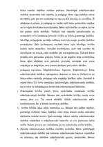 Referāts 'Grafiskie izteiksmes līdzeļi 1.klases bērnu zīmējumos', 12.