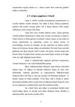 Referāts 'Grafiskie izteiksmes līdzeļi 1.klases bērnu zīmējumos', 15.