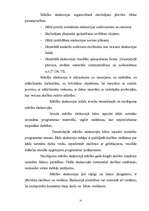 Referāts 'Grafiskie izteiksmes līdzeļi 1.klases bērnu zīmējumos', 31.