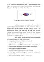 Referāts 'Grafiskie izteiksmes līdzeļi 1.klases bērnu zīmējumos', 36.