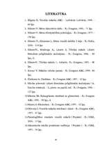 Referāts 'Grafiskie izteiksmes līdzeļi 1.klases bērnu zīmējumos', 40.