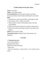 Referāts 'Grafiskie izteiksmes līdzeļi 1.klases bērnu zīmējumos', 44.